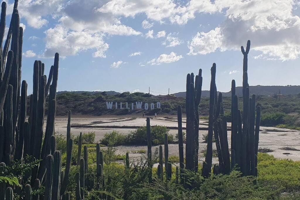 Local Willibrord Lodge Willibrordus 外观 照片